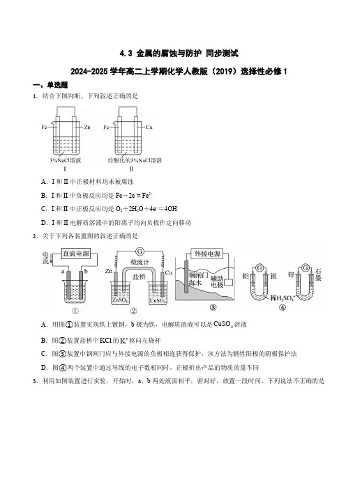 金属的腐蚀与防护 同步测试  2024-2025学年高二上学期化学人教版(2019)选择性必修1