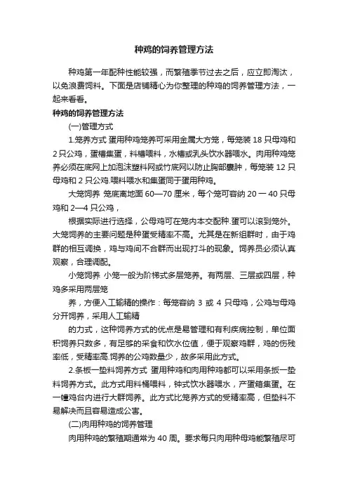 种鸡的饲养管理方法