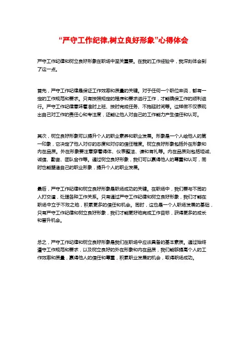 “严守工作纪律,树立良好形象”心得体会