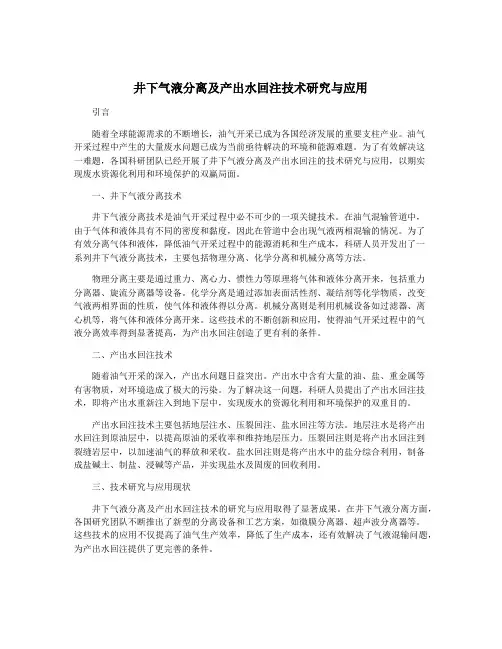 井下气液分离及产出水回注技术研究与应用