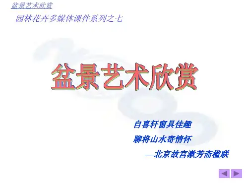盆景艺术欣赏PPT课件