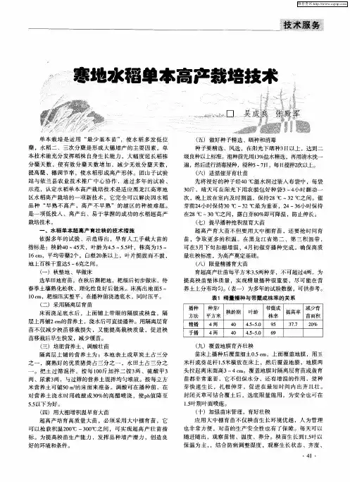 寒地水稻单本高产栽培技术