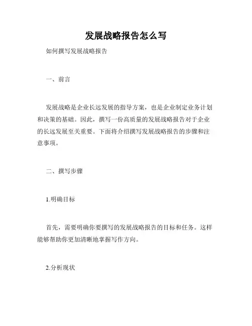 发展战略报告怎么写