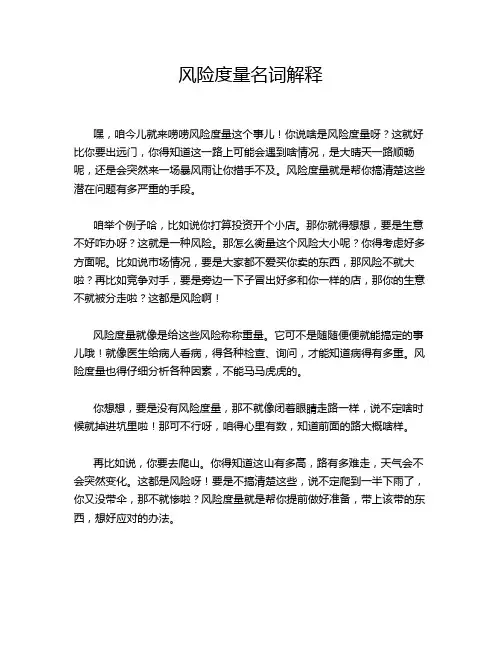 风险度量名词解释