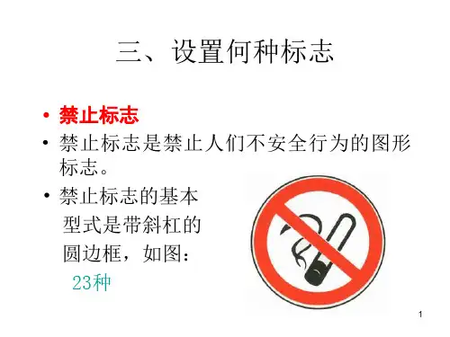 安全标志quanPPT32页