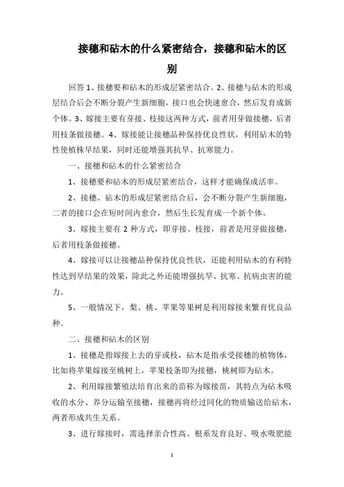 接穗和砧木的什么紧密结合,接穗和砧木的区别