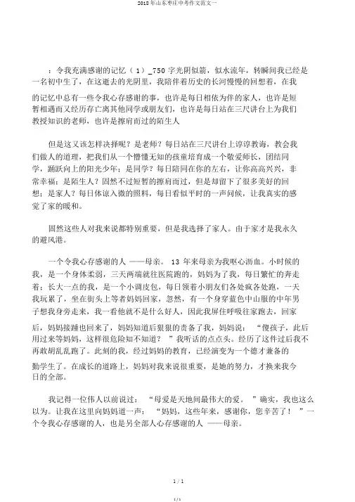 2018年山东枣庄中考作文范文一