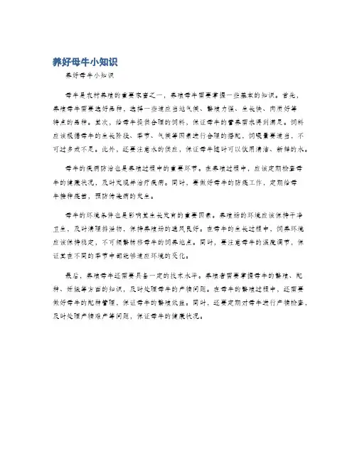 养好母牛小知识
