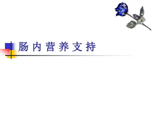 肠内营养支持