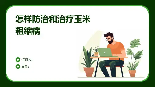怎样防治和治疗玉米粗缩病