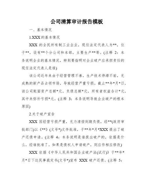 公司清算审计报告模板