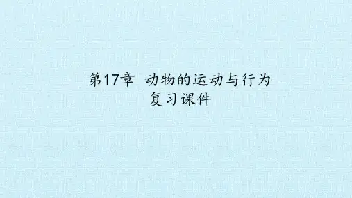 苏科版八年级生物上册：第17章 动物的运动与行为  复习课件