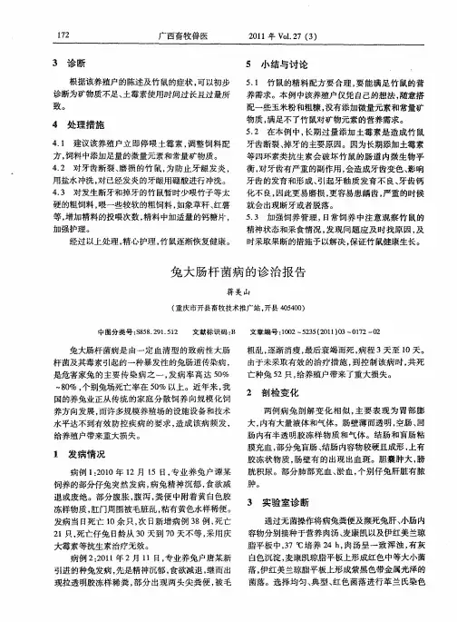 兔大肠杆菌病的诊治报告