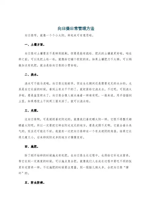 向日葵日常管理方法