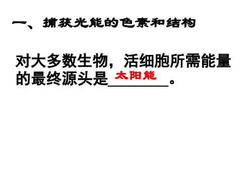 光合作用一轮复习全解ppt课件