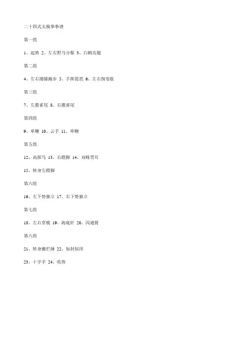 陈氏太极拳(二十四式)