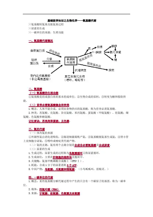 基础医学知识之生物化学——氨基酸代谢