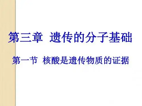 生物：3.1《核酸是遗传物质的证据》课件(浙科版必修2)