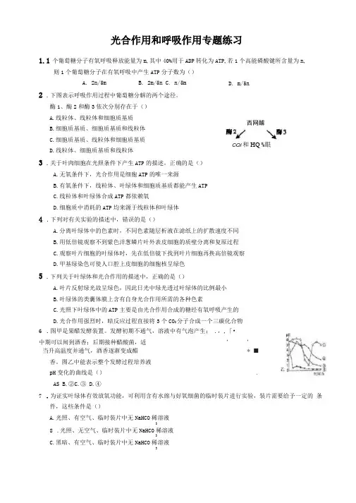 光合作用和呼吸作用题练习题及答案