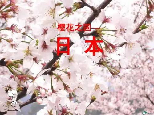 《日本》ppt课件