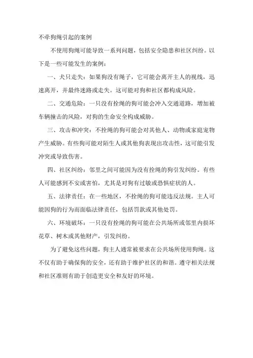 不牵狗绳引起的案例