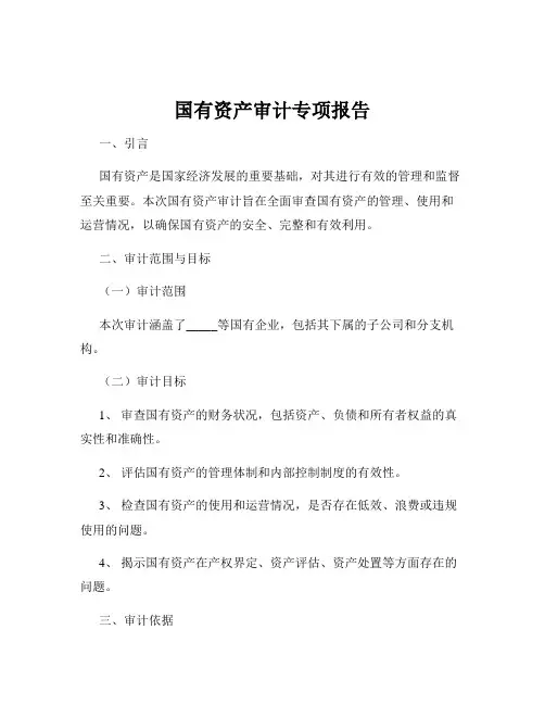 国有资产审计专项报告