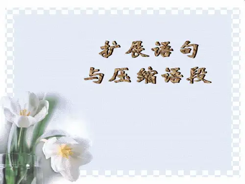 扩展语句与压缩语段PPT课件