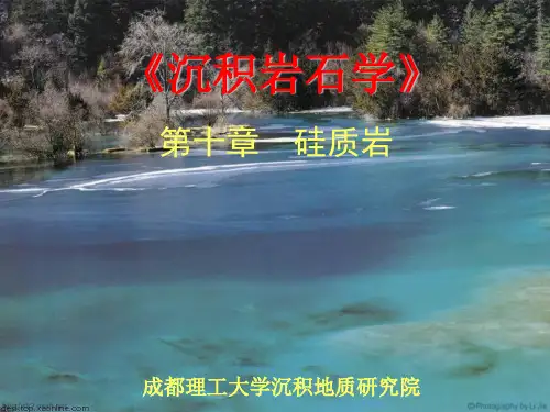 第十章硅质岩