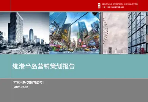 中原2011年02月25日清远维港半岛营销的的策划的报告