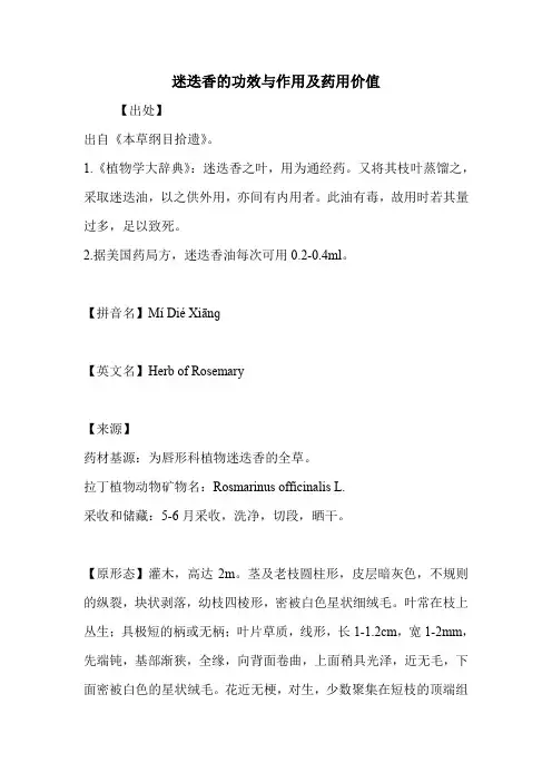 迷迭香的功效与作用及药用价值