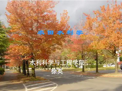第七章 排水沟道系统2