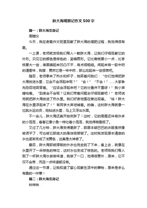 胖大海观察记作文500字