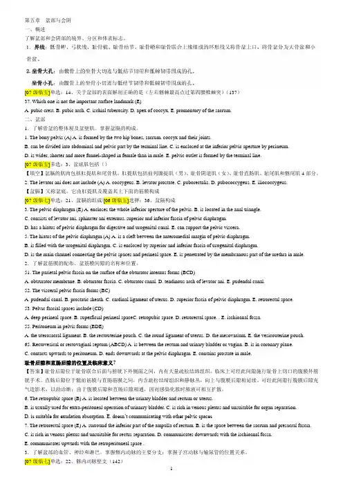盆部与会阴