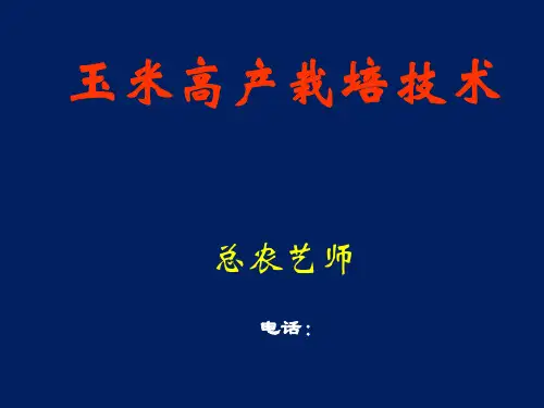 玉米高产栽培技术 ppt课件