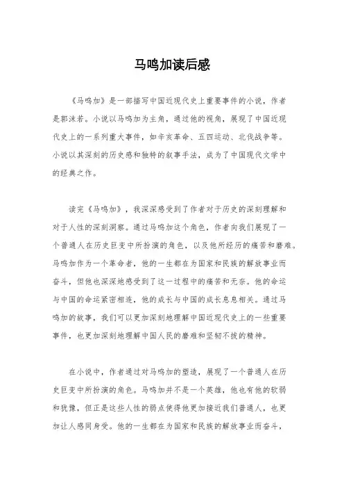 马鸣加读后感