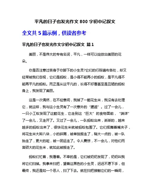 平凡的日子也发光作文800字初中记叙文