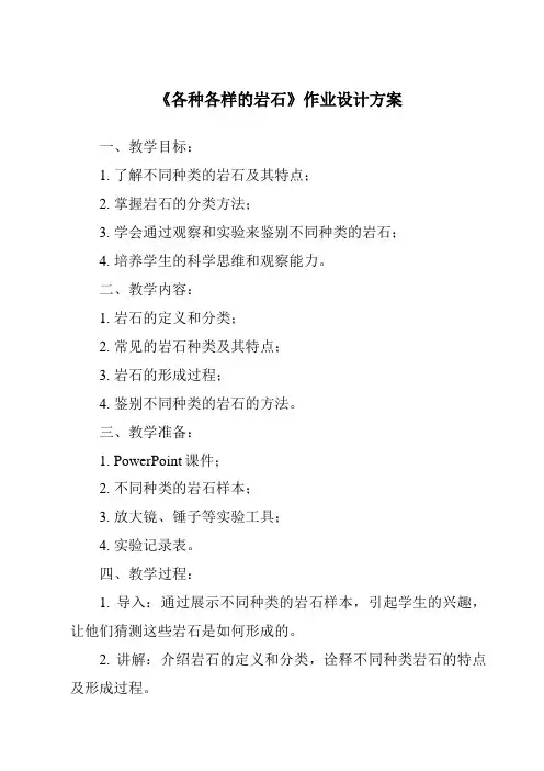 《各种各样的岩石作业设计方案》