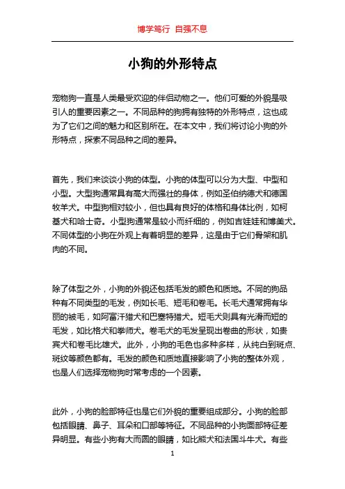 小狗的外形特点