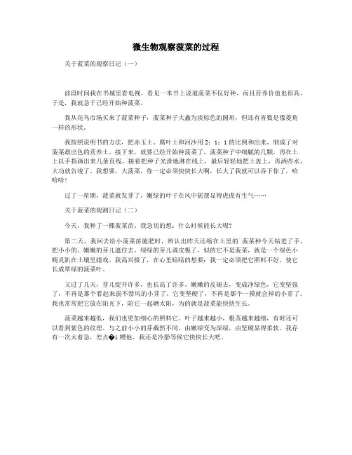 微生物观察菠菜的过程