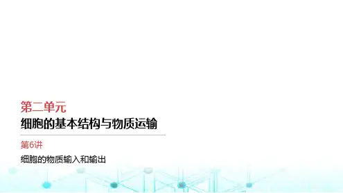 人教版高中生物必修一细胞的物质输入和输出课件