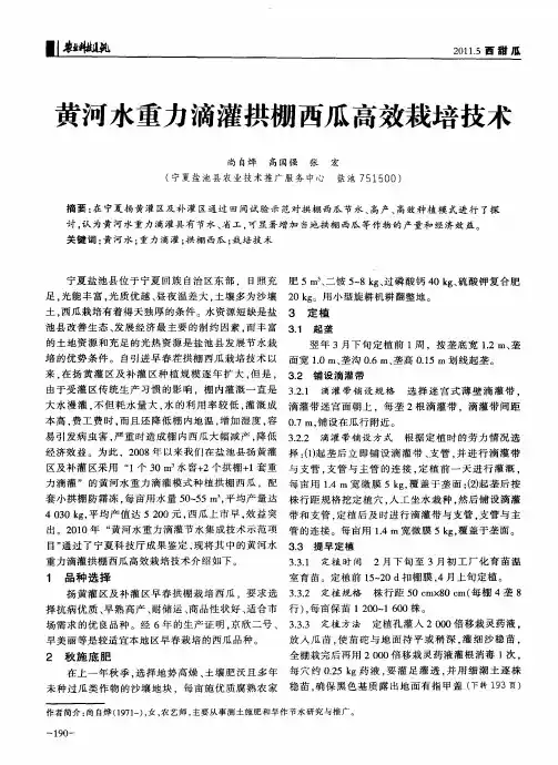 黄河水重力滴灌拱棚西瓜高效栽培技术