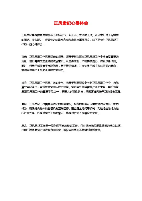 正风肃纪心得体会