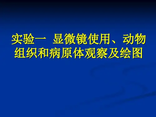 实验一 显微镜使用、动物组织和病原体观察及绘图
