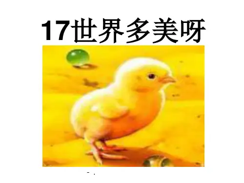 《世界多美呀》PPT课件4