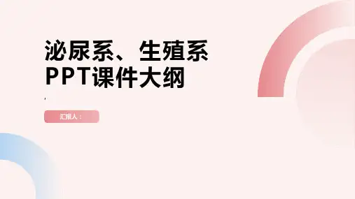 《泌尿系、生殖系》课件