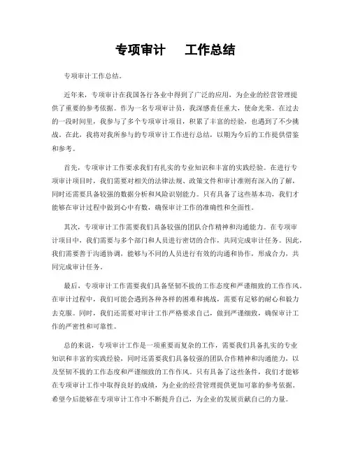 专项审计   工作总结