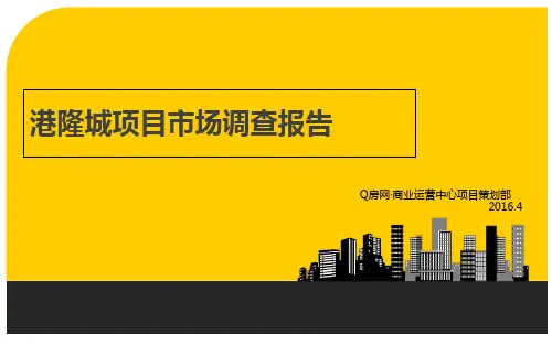 某项目市场调查报告(PPT 39页)