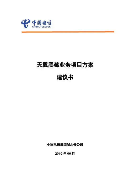 中国电信天翼黑莓业务解决方案