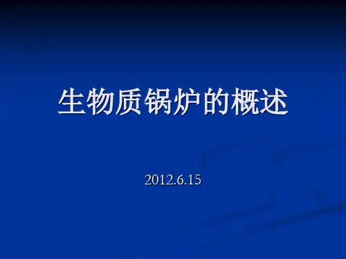 生物质锅炉