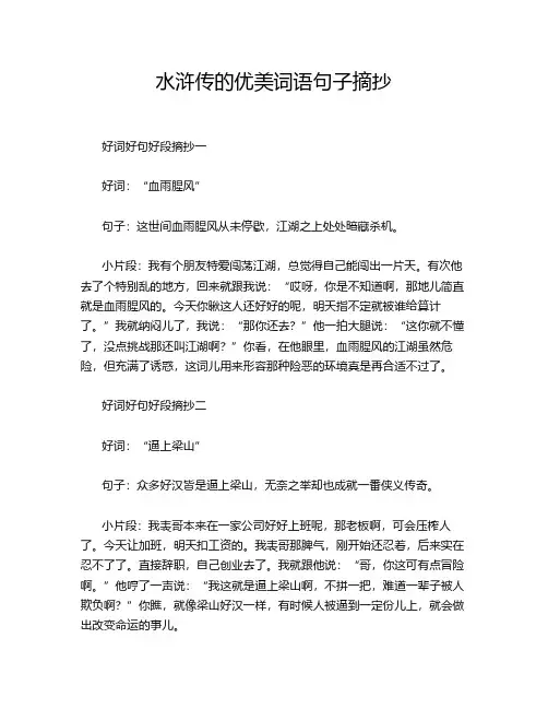 水浒传的优美词语句子摘抄